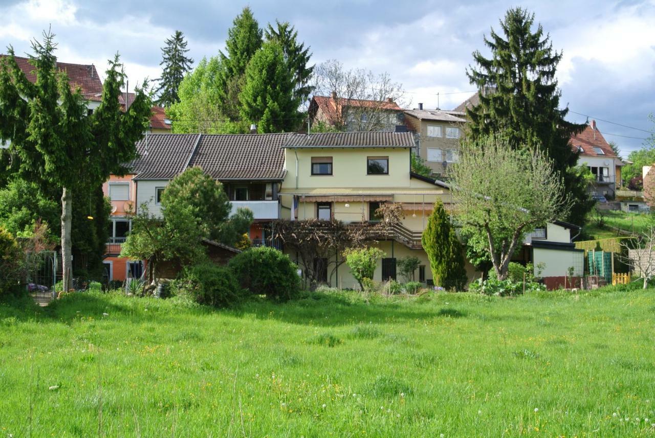 Ferienwohnung Zur Muehle Sotzweiler Екстер'єр фото