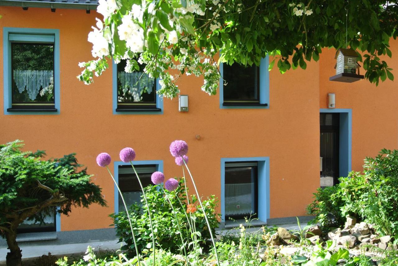 Ferienwohnung Zur Muehle Sotzweiler Екстер'єр фото